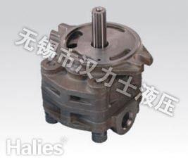 Hydraulic Gear Pump SVD22