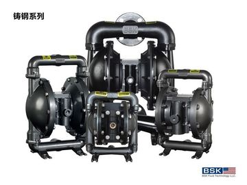 Food / Chemical Positive Displacement Pump Corrosion Resistant